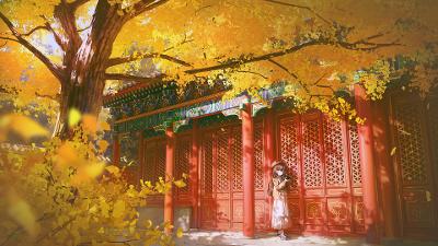 acme.sh自动化申请证书自动续期